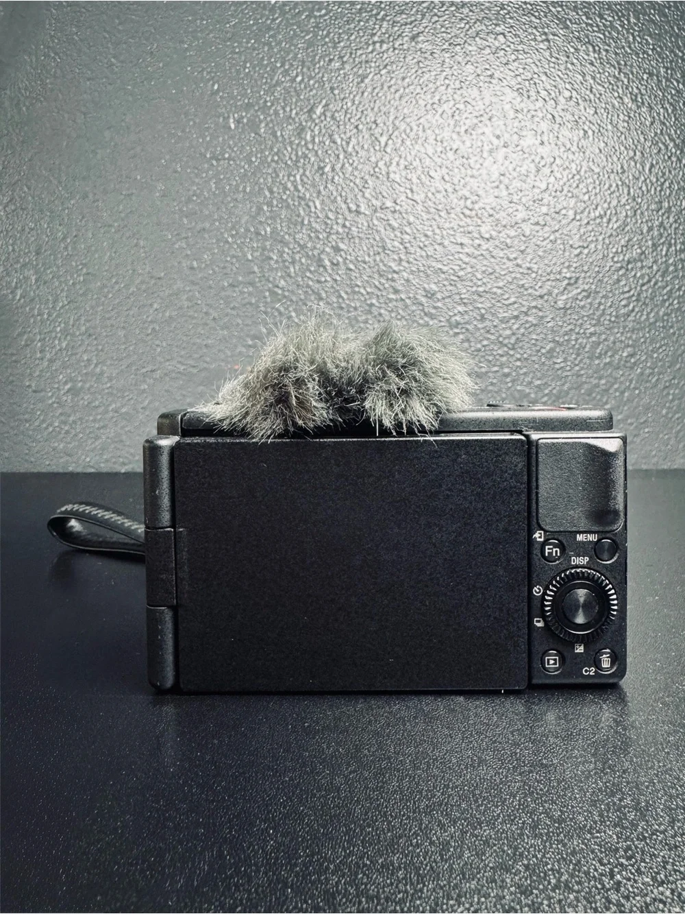 Sony Black Compact Digital Camera with Zeiss Lens and Wind Muff